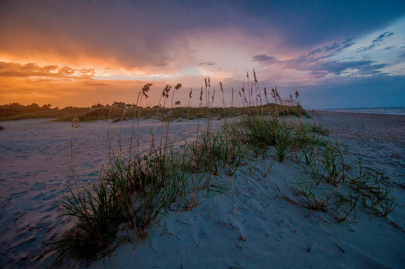 litchfield photographer